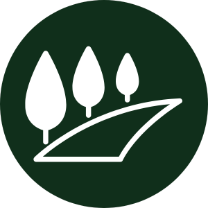 40 & 60 ft Roads, Landscaped Avenues